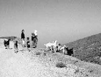 Des projets pour stabiliser les familles