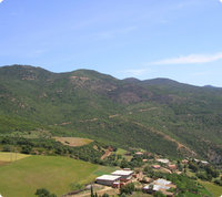 Forêt de Bissa : un vrai sanctuaire écologique