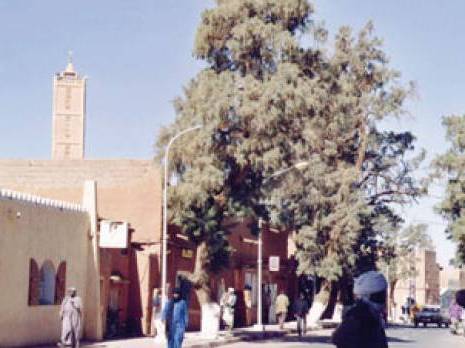 De jeunes promoteurs devant le tribunal Gestion des microcrédits à Tamanrasset