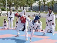 Portes ouvertes au CREPESM : affluence pour découvrir les réalisations du sport militaire