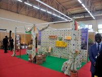 Benbada appelle les opérateurs algériens et camerounais à plus de partenariat