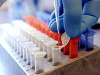 Concrétisation en avril du projet d'un pôle international de biotechnologie en Algérie