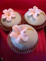 Les Algériens craquent pour  les  cupcakes !