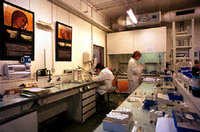 Des chances de guérison avec la trithérapie