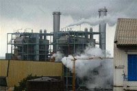 Colloque international à Skikda : Quand biologie et environnement s'assemblent