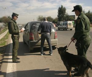 تفتيش 37687 شخص و14927 مركبة وسحب 11610 رخصة سياقة فيما تم الإطاحة ب