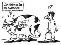 Laiterie d'Arib (Aïn Defla) : Vers le règlement du conflit