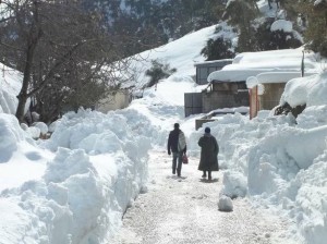 Bouteflika, une chronique sous la neige.
