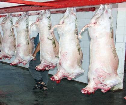 Un business en plein essor Abattage clandestin de brebis et agnelles à Constantine