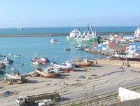 Marché de la semence : L'écoulement de la marchandise pose problème
