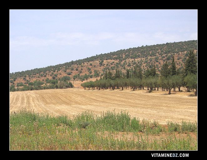 Le Domaine de Lismara