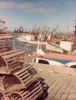 Pêche : Les professionnels se concertent