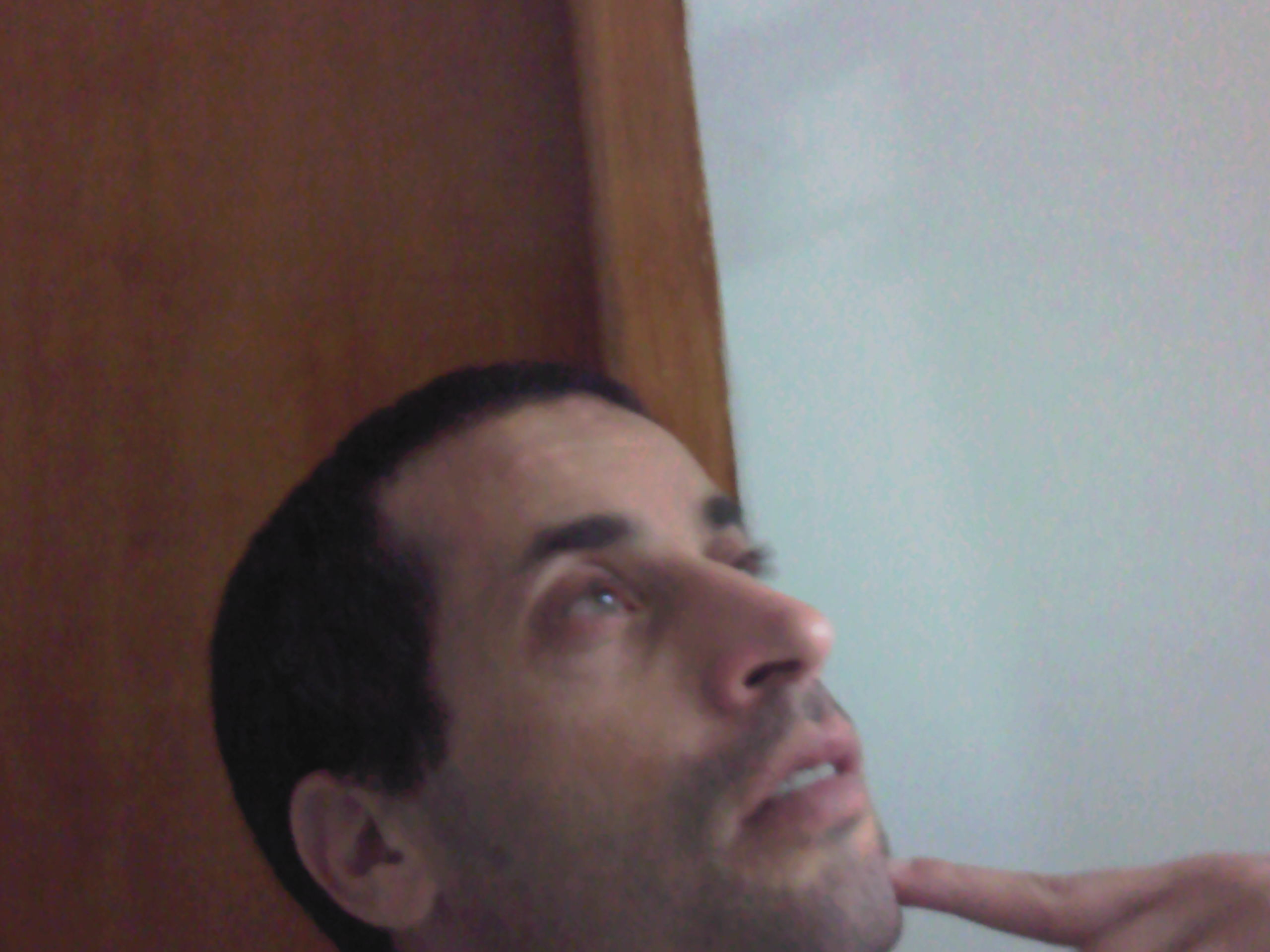 ابن خلدون و العرب