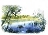 El Kala : Les plus belles couleurs de l'hiver sont celles des canards