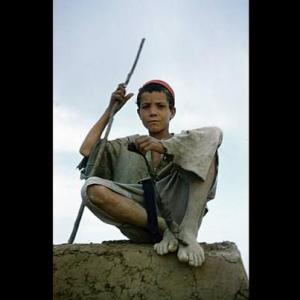 Guerre d'Algérie, bataille de Bouyamene, vue croisée : berger-Chouf de l'ALN et soldat colonial :