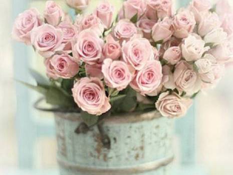 Fêtes de la Saint Valentin : Dites-le avec des fleurs ! Oran : les autres articles