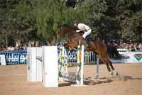 Activités équestres : Contre-performance pour les cavaliers mostaganémois