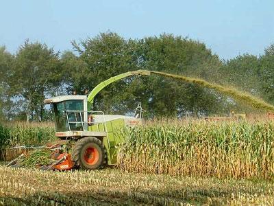 La wilaya de Ghardaïa ouvre la voie Projet d'investissement agro-industriel dans le grand Sud