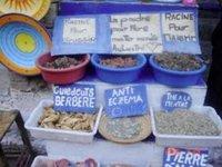 En prévision de la grippe saisonnière à Ouargla : Rush sur les boutiques de plantes médicinales