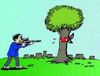 Les flancs du massif de Chréa érodés : Impact d'événements climatiques extrêmes