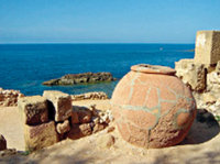 Tipaza : Toumi propose des aménagements pour les monuments et les sites