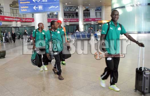 Les Etalons depuis hier matin à Alger