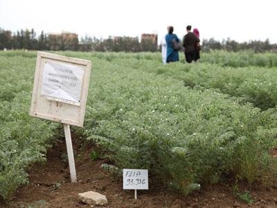 Vers la préservation du patrimoine génétique algérien Une loi et des textes réglementaires en préparation