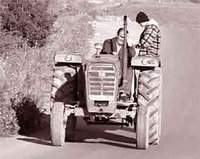 Labours-semailles dans la commune d'Ighram (Béjaïa) : A campagne compromise