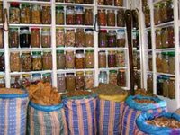 La nature au service de la santé