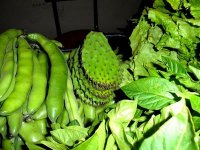 Les raquettes des figues de barbarie refont surface dans l'art culinaire du M'Zab