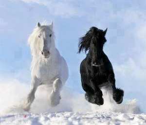 الشر قليله كثير