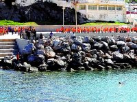 Le port de plaisance d'El Djamila à l'honneur Lancement officiel de la saison estivale