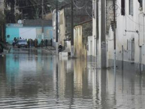 تيبازة: حظيرة بلدية مناصر الجبلية شبه خالية لمواجهة الكوارث