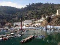 Plus de 29 milliards de dinars pour les travaux publics