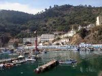 Plus de 29 milliards de dinars pour les travaux publics