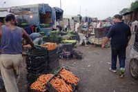 Flambée des prix des fruits et légumes