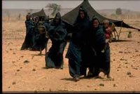 Toujours plus de sécheresse, de maladies et moins de droits