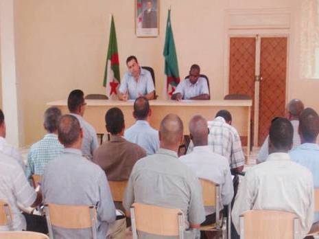 Des criquets signalés dans la vallée du M'zab Menace acridienne