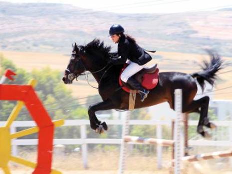 Des cavaliers prêts pour Tiaret Grand tournoi équestre de l'est sauts d'obstacles