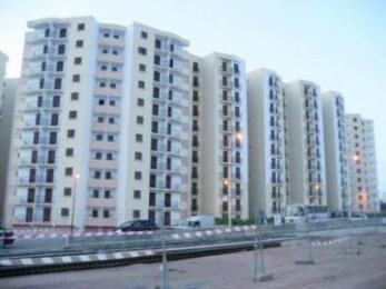 توزيع 60 سكنا اجتماعيا ببلدية بوسكن و30 بمجبر بالمدية العملية سادتها الشفافية