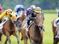 Outsiders en appel Les courses à Djelfa