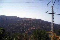 Wilaya de Bouira : 40 milliards de centimes de créances à la Sonelgaz