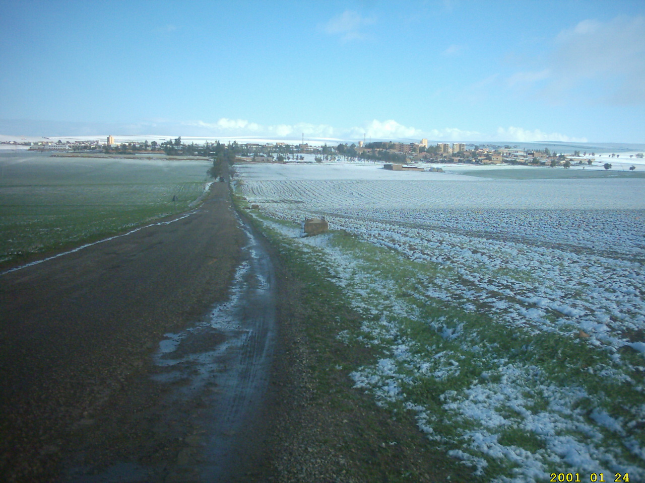 LA MEILLEURE COLLECTE DE L'ANNEE