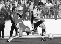 Des épines pour le leader