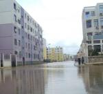 20 ألف تلميذ لم يلتحقوا أمس بمقاعد الدراسة أمطار طوفانية تغمر 23 حيا وتحاصر 12 مؤسسة تعليمية بالطارف