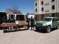 Une tentative d'introduction de 15 qx de kif en provenance du Maroc déjouée Extrême-ouest algérien