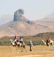 Environnement :  Deux sites à Tamanrasset  classés sur la liste Ramsar