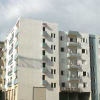 توزيع 132 سكن 