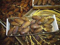 Algérie-Allemagne : des unités pour valoriser les dattes à basse valeur financière