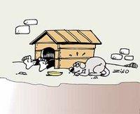 Des citoyens laissés pour compte à Médéa : Le sombre quotidien des sans-abri